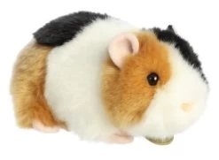Miyoni - 7.5" American Guinea Pig