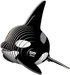 Killer Whale Eugy